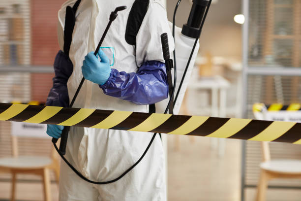 Professional Odor Removal technician working in Lakeview, MI